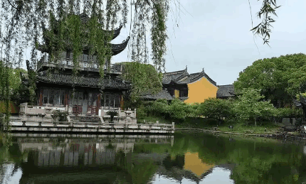 高歌一曲龙凤舞，金枝玉叶最娇贵指是代表什么生肖，全面最佳解释落实