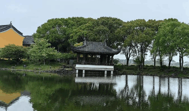 “今期羊虎狗出特，一波才动万波随”是什么生肖，打一最佳准确生肖,释义成语解释 
