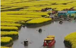 年复一年龄见小打一最佳准确生肖,精选释义解释落实