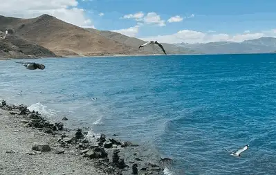 “搅海翻江小七煎，一七二六特马边”是什么生肖，解释词语释义