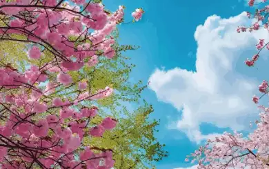 “四六今期有特马，一身转战三千里”是什么生肖,词语释义解释
