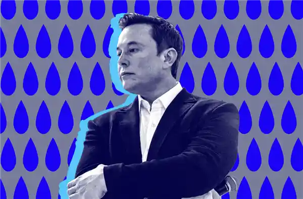 川普当选后，马斯克或将成为AI部长？