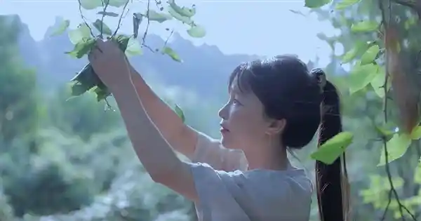王冰冰李子柒同上碰碰车！网友惊呼：清新美少女组合！