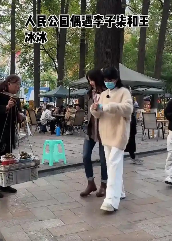 王冰冰李子柒同上碰碰车！网友惊呼：清新美少女组合！