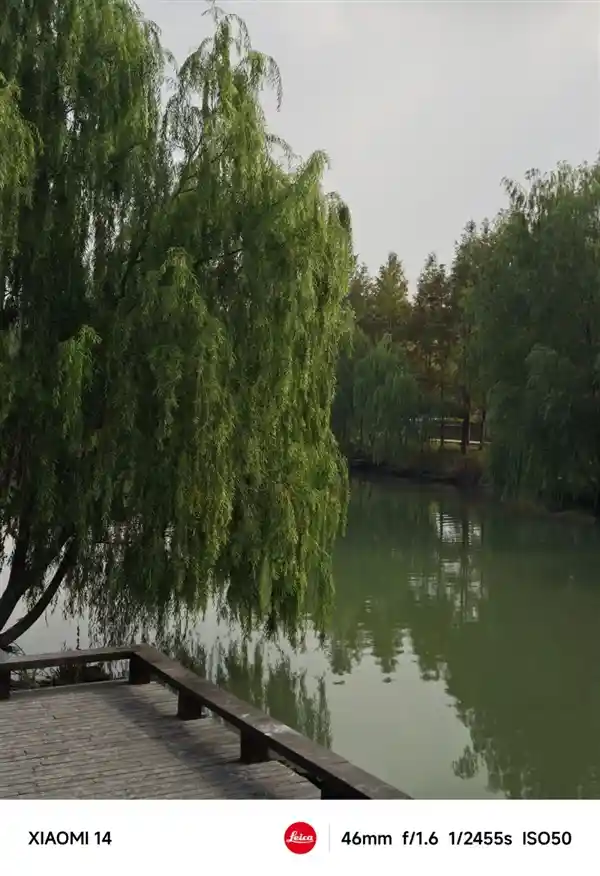 水货涨价不止！今年旗舰手机还藏了这个大秘密