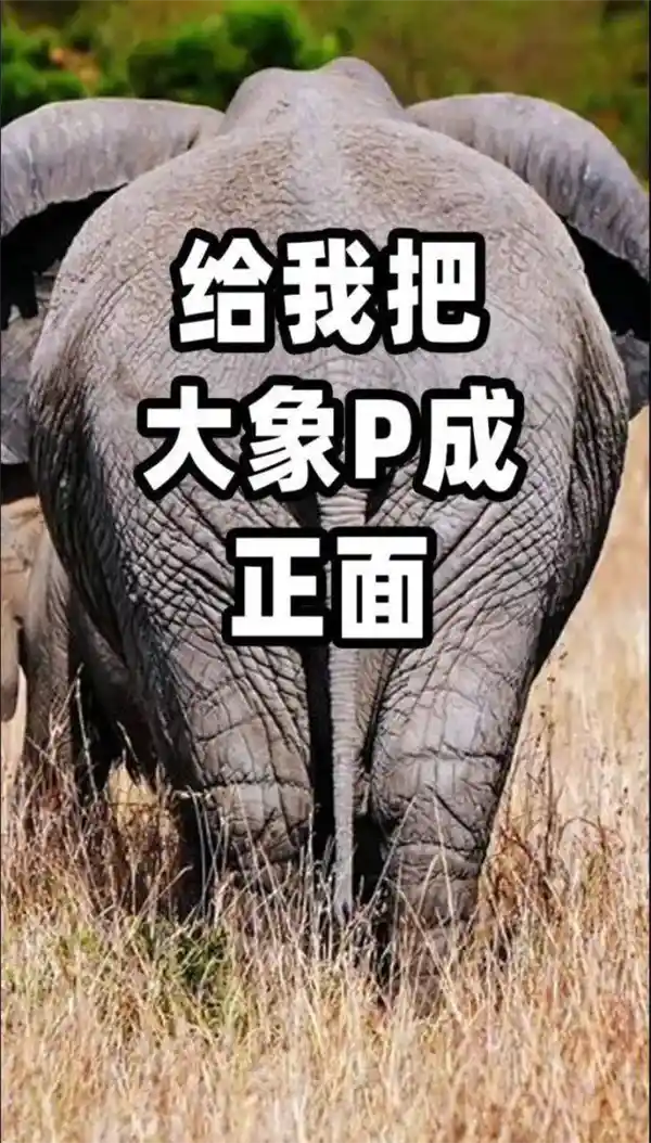 PS魔法再现！看他如何将背面变成正面，惊艳全场