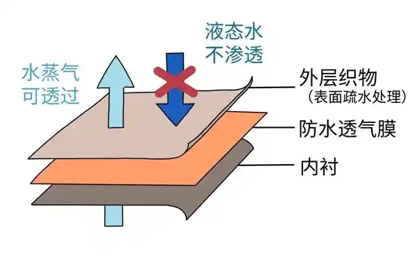 揭秘冲锋衣的正确洗涤方式，让你的衣服更持久！