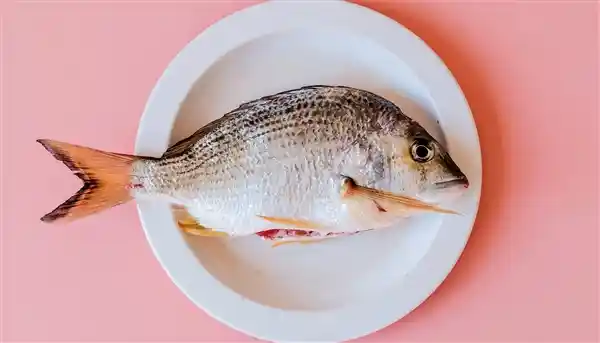 医生支招！鱼刺卡喉救命秘籍曝光