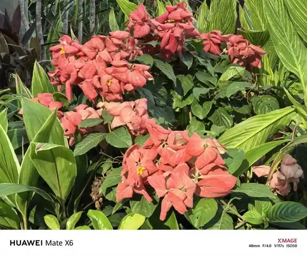 华为Mate X6典藏版：独步折叠机界的皇者