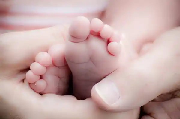 92年生9个娃宝妈上热搜！网友深扒身份，欲凑齐12生肖引发热议