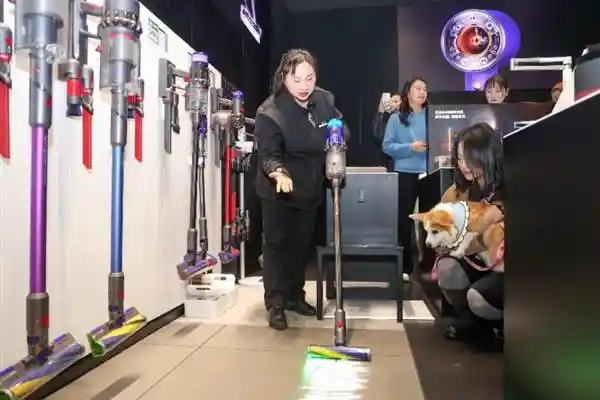 戴森冬日养宠沙龙：科技护理，健康共享