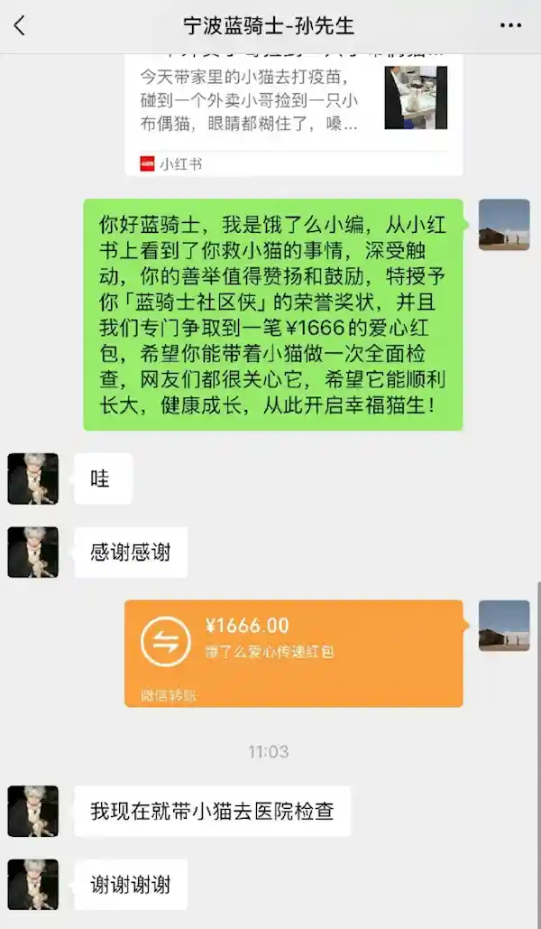 外卖小哥路遇生病流浪猫，施以援手获赠1666元，感动众人赢得侠证书