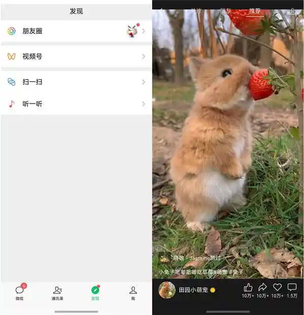 「鸿蒙原生版微信全新升级：文件传输、视频号触手可及，满足你的一切日常需求！」