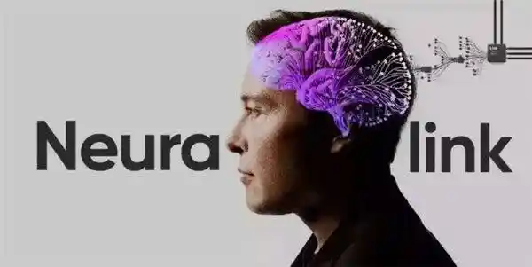 微美全息与马斯克合作！Neuralink获批在加拿大启动试验，开启脑机接口新时代