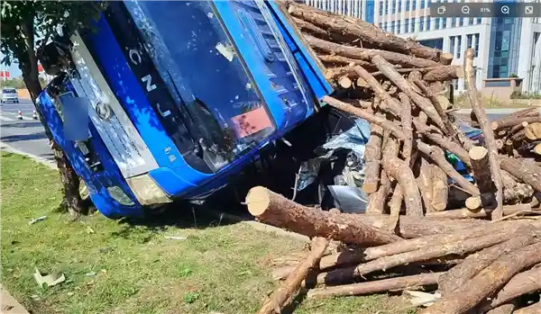特斯拉车主奇迹生存！货车压顶无恙，陶琳力荐：选车就选特斯拉 绝对放心！