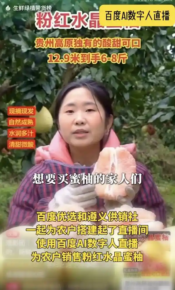 贵州农产品直播带来百万增收！数字人如何助力解决滞销难题？