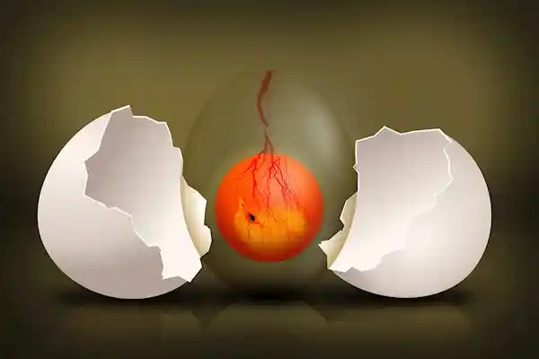 科学突破！人类脊柱首次成功培育：缺陷和椎间盘疾病或将迎来新希望
