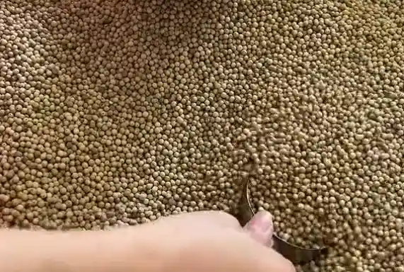解锁冬日美食新秘密：这种香料竟然能带来意想不到的惊喜！