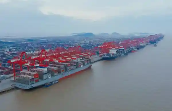 上海港创下全球记录！集装箱年吞吐量突破5000万标箱