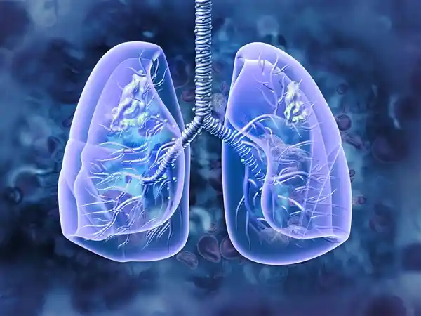 辛巴直播揭秘：健康状况曝光，咳嗽问题成焦点