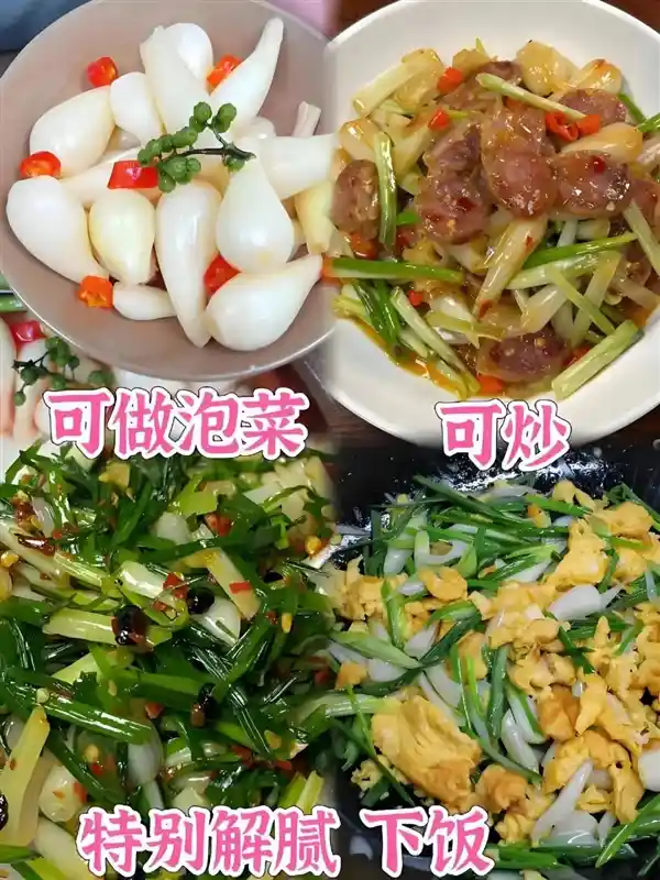 神秘植物揭秘：荸荠、蕺菜、藠头，你都了解多少？