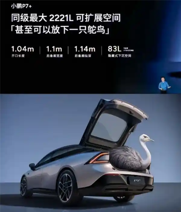 P7+后备厢神奇变身！神秘车主成功将一只鸵鸟‘藏’进豪华轿车，引爆网友热议！