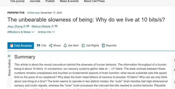 人类思维速度大跃进！每秒10比特已然过时，未来如何应对？