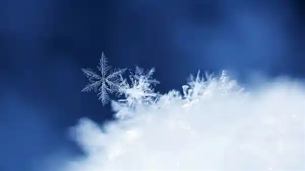 广州突降极寒！零下温度冻结城市
