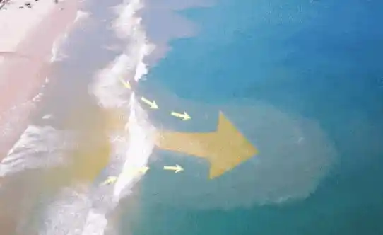 女孩海上漂流36小时奇迹生还：脂肪成为生命救赎