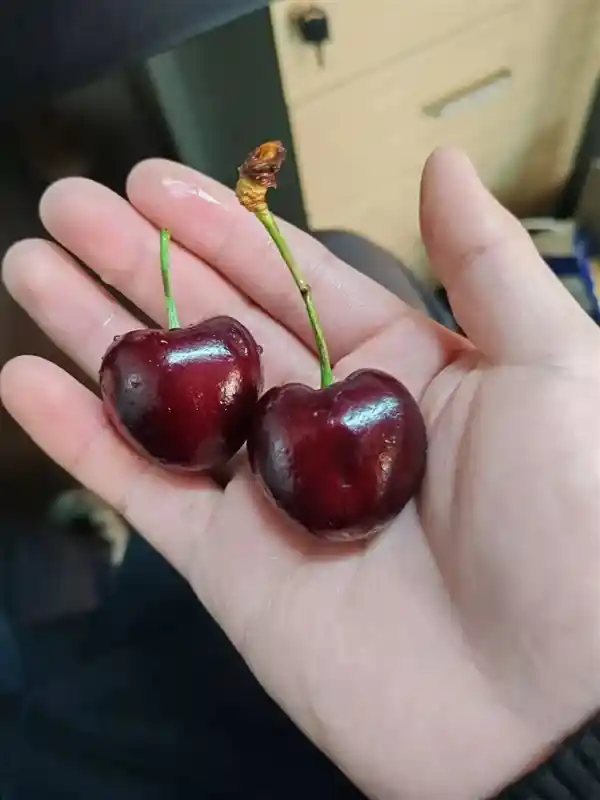 水果市场巨头的沦陷：究竟发生了什么？
