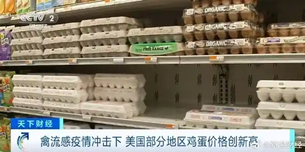 美国鸡蛋价格飙升！一颗鸡蛋要价5块多，民众表示吃不起