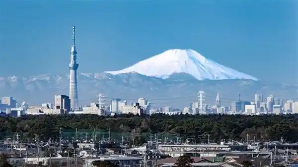 日本特大地震预警：风险激增至80%