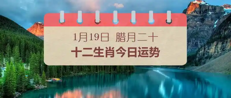 2025年1月19日十二生肖运势大揭秘！