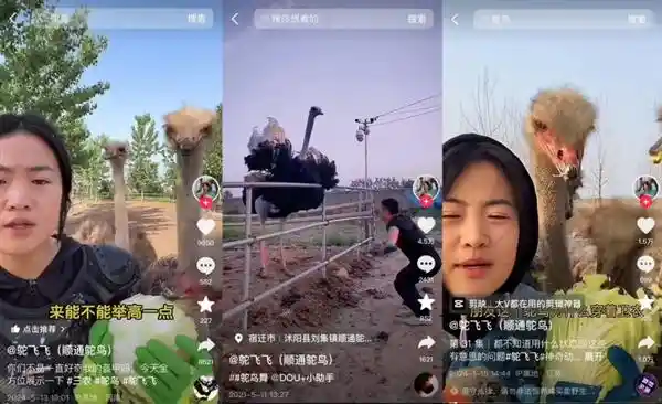 开创新时代：抖音电商助力普通人打造第二事业