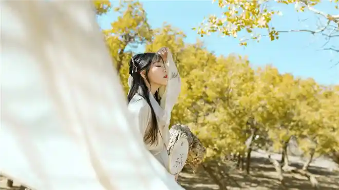 2025年1月27日：十二星座今日运势大揭秘