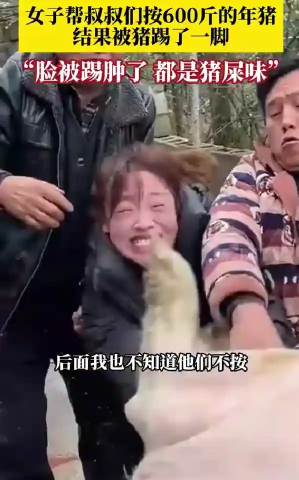 女子协助按下600斤重猪脸肿胀，引发网友讨论：传世四大无法按住！