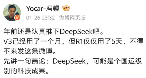 中国AI模型DeepSeek：为何能在美国科技股市场大放异彩？