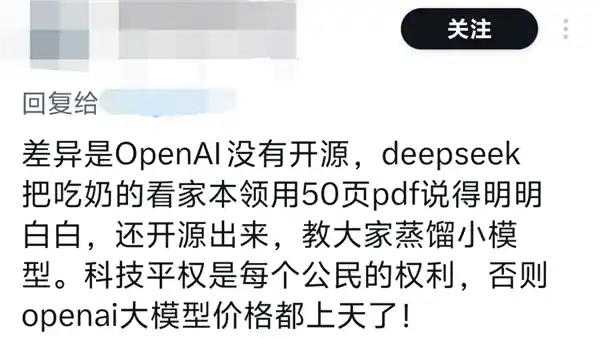 中国AI模型DeepSeek：为何能在美国科技股市场大放异彩？