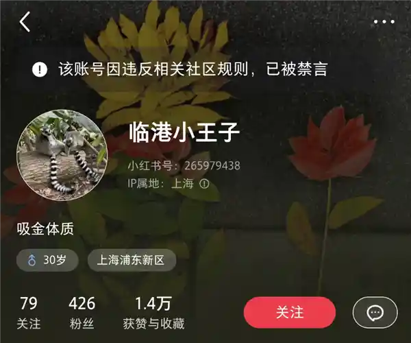 上海男子5元出售地铁座位事件曝光！原来只为推广小红书账号【内幕揭秘】