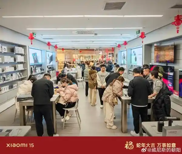 2025年春节狂欢：小米手机、汽车、家电销售飙升！