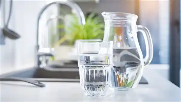 水瓶内部：比马桶座圈还脏的隐藏细菌世界