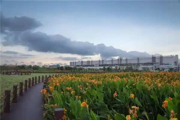 TCL科技获CDP颁发水安全领域A级评级：再次引领行业创新