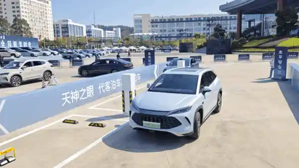 比亚迪：引爆中国汽车市场的黑马品牌