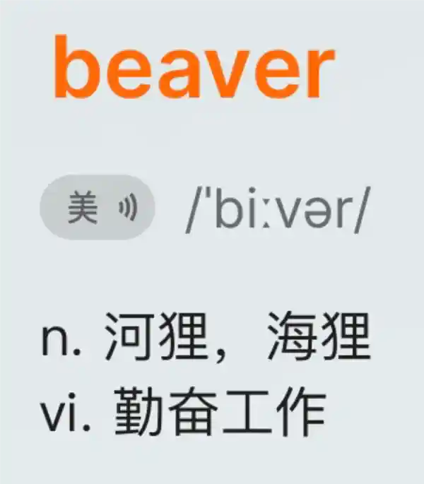 8只河狸用2天完工，捷克水坝竟拖延7年：背后的故事令人震惊！