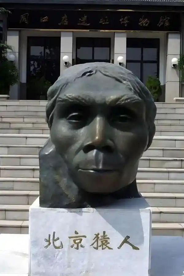 为何非洲文明发展滞后？