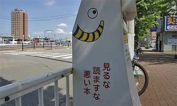 《日本色情杂志文化：绽放与禁锢之间》