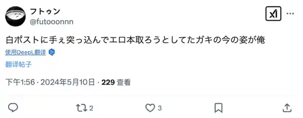 《日本色情杂志文化：绽放与禁锢之间》