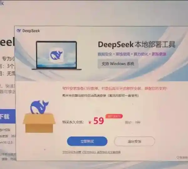 网友误入假冒DeepSeek网站，不慎支付59元成为会员引热议