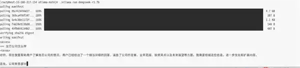 国产龙芯CPU成功挑战极限，DeepSeek两小时内实现完美运行！
