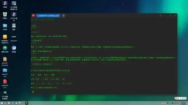 国产龙芯CPU成功挑战极限，DeepSeek两小时内实现完美运行！